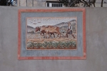 projects_completed_15