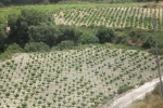 agriculture_03