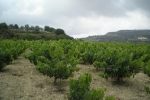agriculture_02