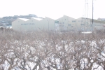 agriculture_01