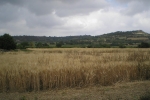natural_environment_09