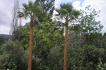 photogallery_07