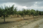 natural_environment_07