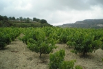natural_environment_05