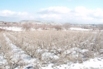 natural_environment_01