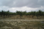 natural_environment_08